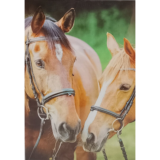 Marant Cards Paarden