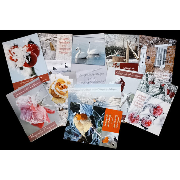 Marant Cards Restant Kerstkaarten (12)