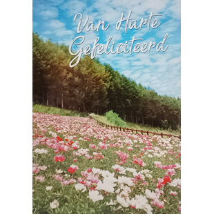 Gefeliciteerd