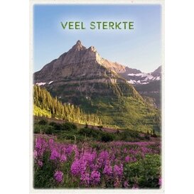 Veel Sterkte