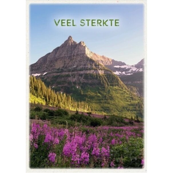 Baaij Light Cards Veel Sterkte