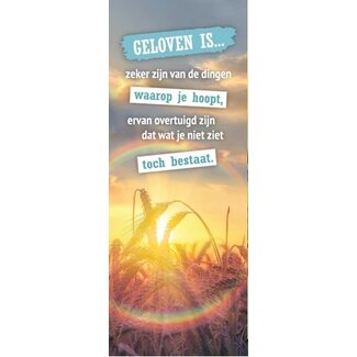 Baaij Light Cards Boekenlegger Geloven is...