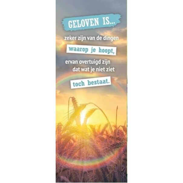 Baaij Light Cards Boekenlegger Geloven is...