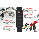 10 kerstkaartenbox - Hulst