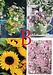 (Set B)