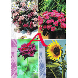 4 Bloemen Postkaarten