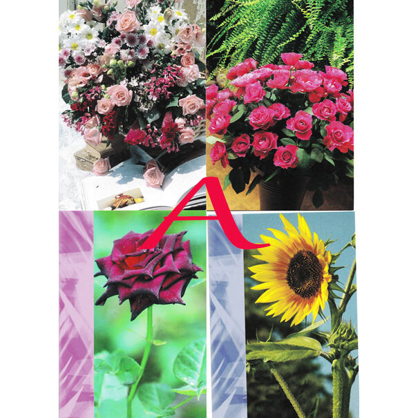 4 Bloemen Postkaarten