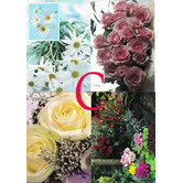 4 Bloemen Postkaarten