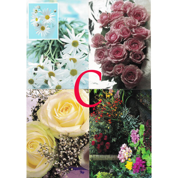 4 Bloemen Postkaarten