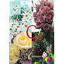 4 Bloemen Postkaarten