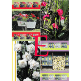 4 Bloemen Postkaarten