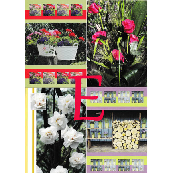 4 Bloemen Postkaarten