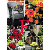 4 Bloemen Postkaarten