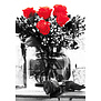 Rode Rozen