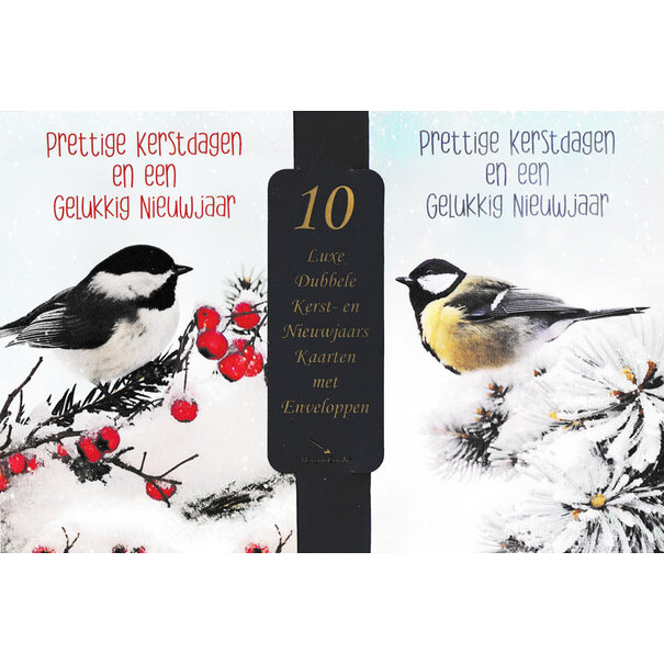 Marant Cards 10 kerstkaartenbox  - Meesjes