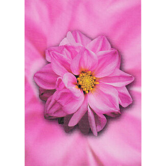 Bloem