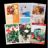 Restant Postkaarten Beterschap (6st)