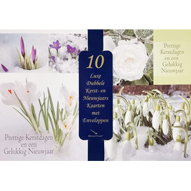 10 kerstkaartenbox  - Sneeuwklokjes