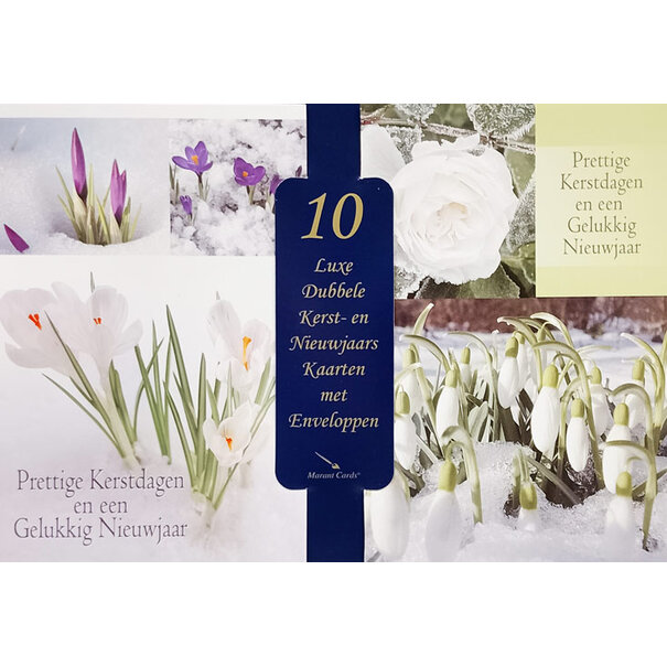 Marant Cards 10 kerstkaartenbox  - Sneeuwklokjes