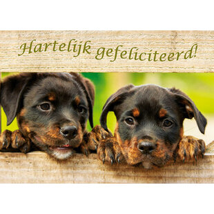 Prentbriefkaart  Gefeliciteerd