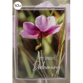 10x Deelneming - Herfstanemoon