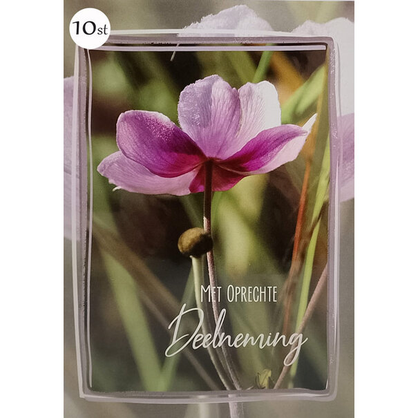 Marant Cards 10x Deelneming - Herfstanemoon