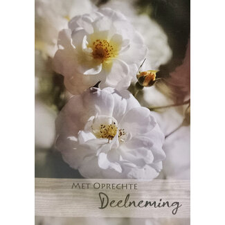 Marant Cards Deelneming