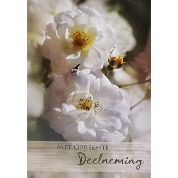 Marant Cards Deelneming