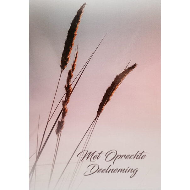 Marant Cards Met Oprechte Deelneming