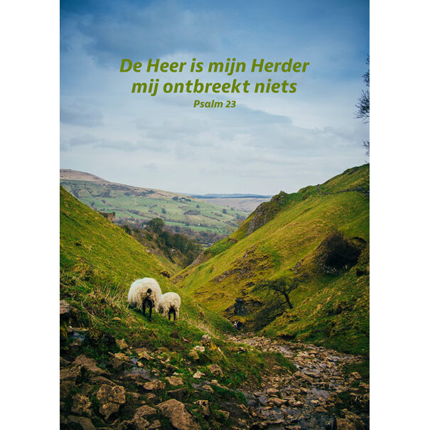 TSS-Nijkerk Christelijke ansichtkaart – De Heer is mijn Herder – Psalm 23