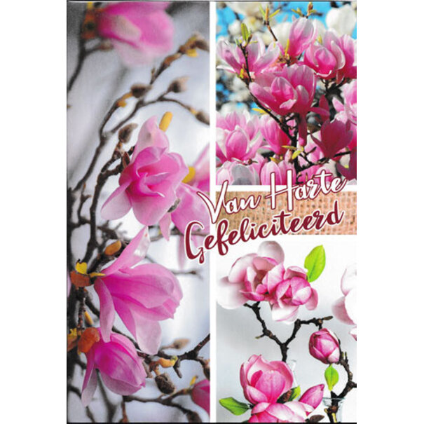 Marant Cards Postkaart Gefeliciteerd