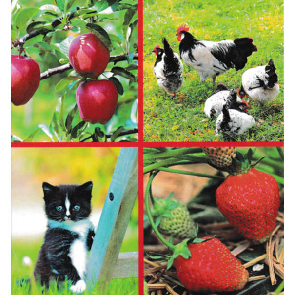 Marant Cards Blanco kaartje