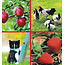 Marant Cards Blanco kaartje
