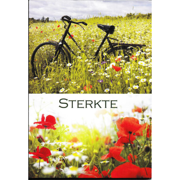 Marant Cards Postkaart Sterkte