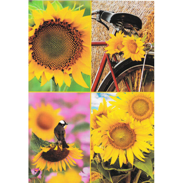 Marant Cards Zonnebloemen