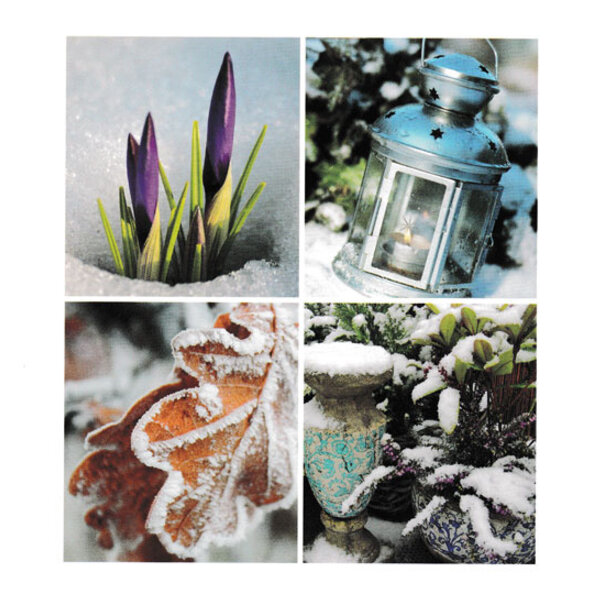 Marant Cards Blanco kaartje  - Winter