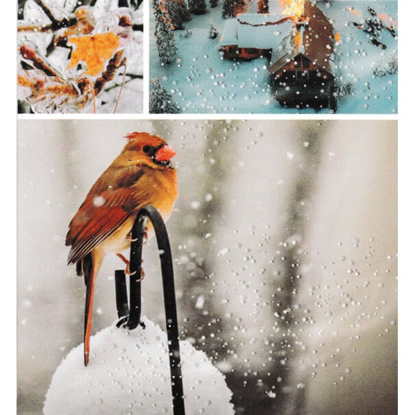 Marant Cards Vierkant kaartje  - Rode Kardinaal