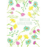 Postkaart Gefeliciteerd