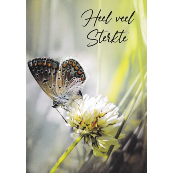 Marant Cards Heel veel sterkte