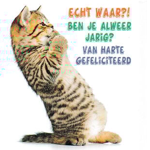 Echt waar?! Ben jij jarig?