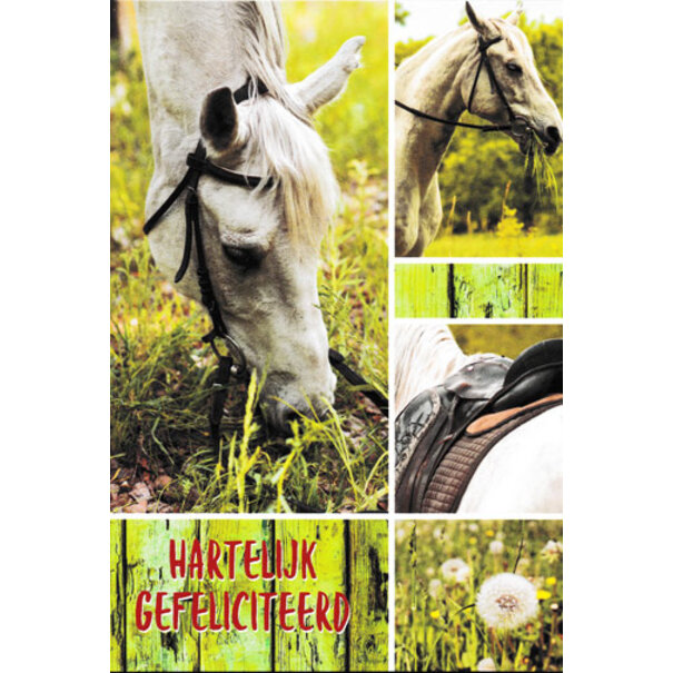 Marant Cards Postkaart: Hartelijk Gefeliciteerd