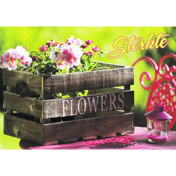 Baaij Light Cards Bloemenkaartje - Sterkte