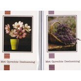 5 Rouwkaartjes - Lavendel