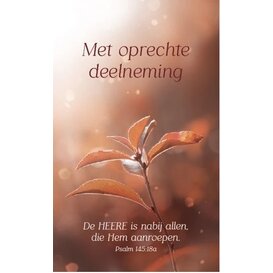 4x Deelneming