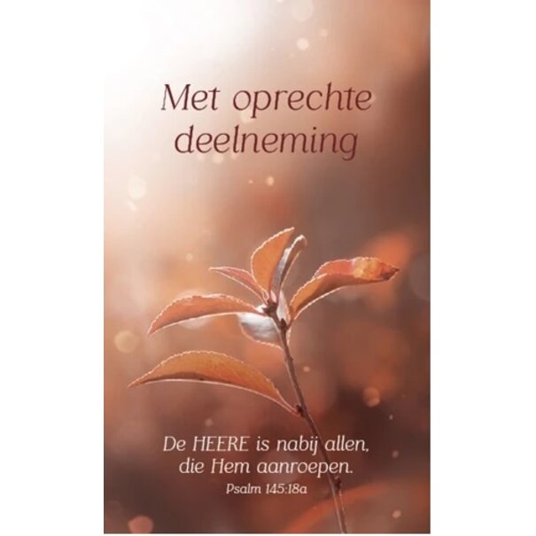 Baaij Light Cards 4x Deelneming