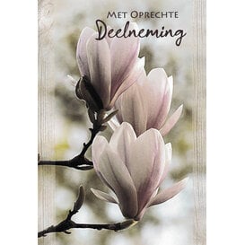 Deelneming Magnolia