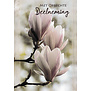 Deelneming Magnolia