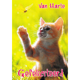 Van Harte Gefeliciteerd!