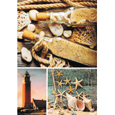 Blanco kaart Schelpen Vuurtoren