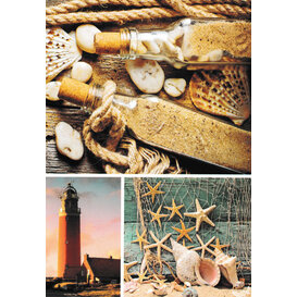 Blanco kaart Schelpen Vuurtoren